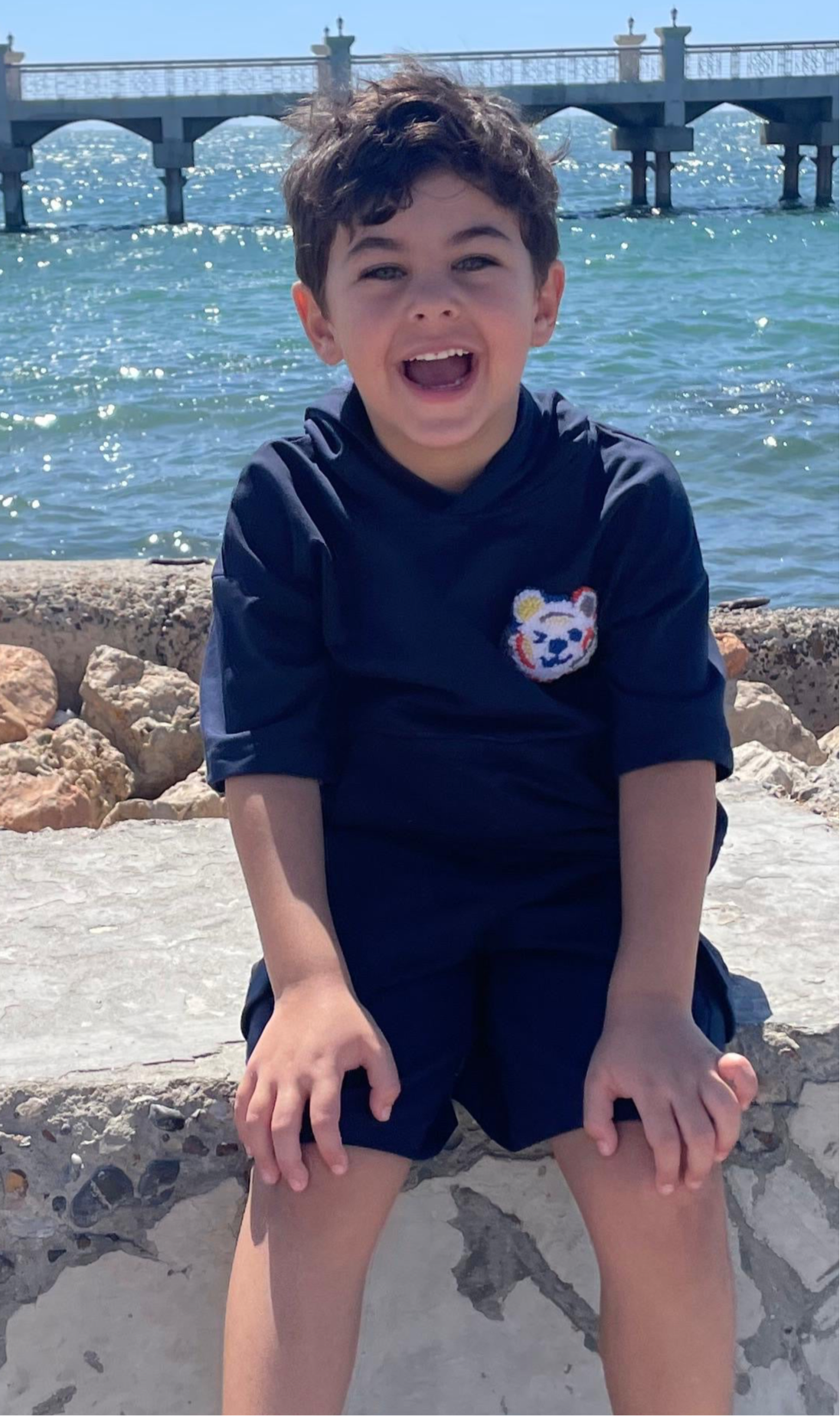 Tiger Tangle Embroidered Hoodie Set